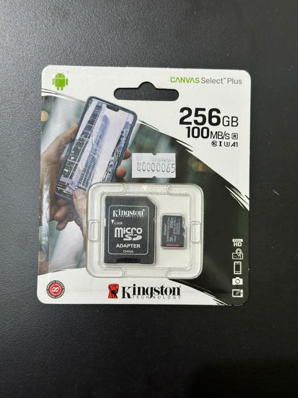 Dagast MEMORIA KINGSTON 256GB